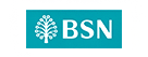 BSN