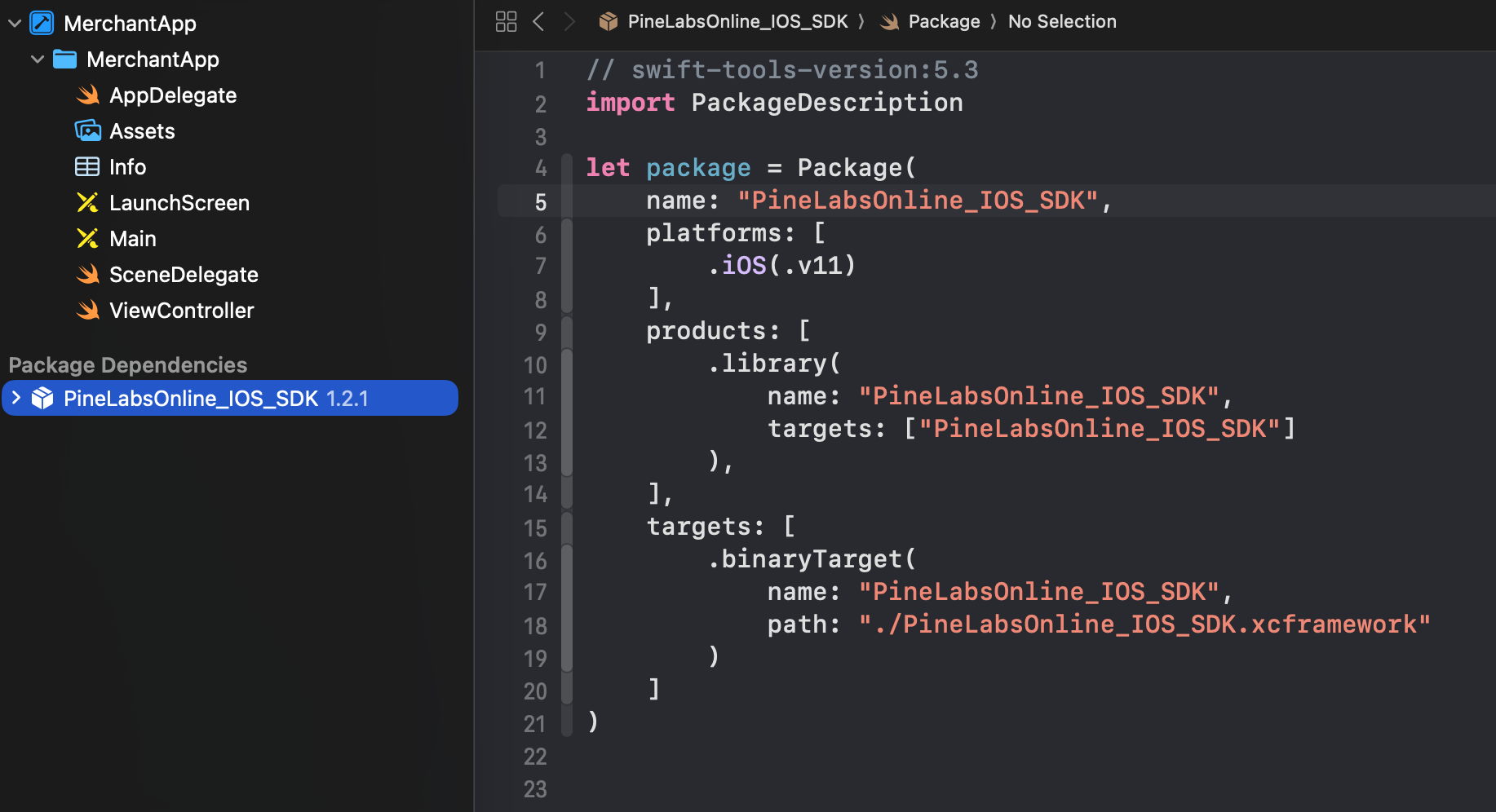 Package Dependency